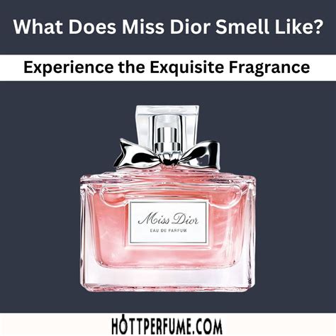 coffret parfum miss dior|what does miss dior perfume smell like.